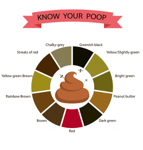 Baby Poop What's Normal and What's Not? - Modern Day Moms